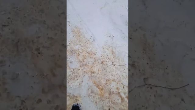 У Никиты днюха идём в кафе "Сказка". Нас шесть человек (снято 20 февраля). смотреть онлайн