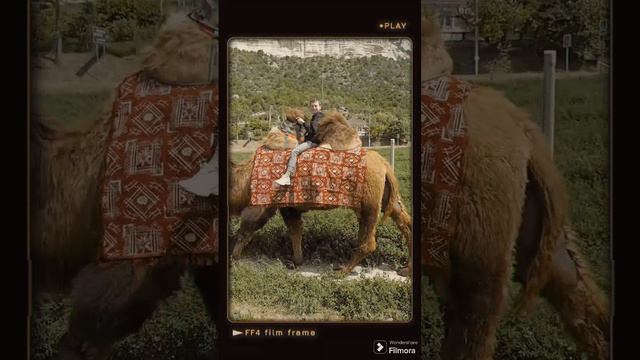 Караван уходит в горы