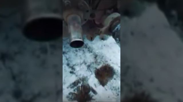 Миллиардерша Кривоногих. Кто это.