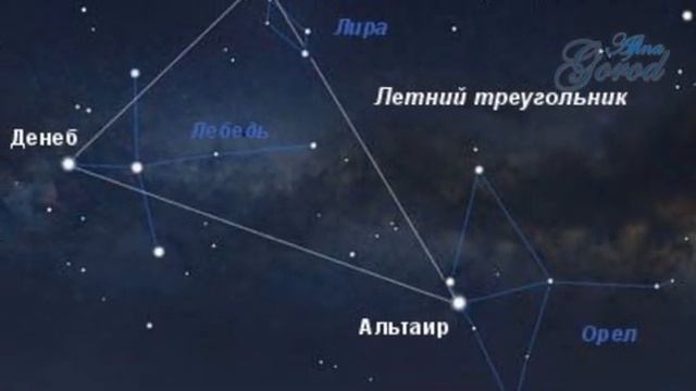 Созвездия какими они бывают смотреть онлайн