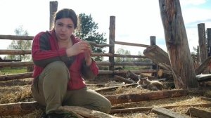 КАКИЕ КОШКИ ЛОВЯТ КРЫС. мифы и заблуждения / как найти кота-крысолова