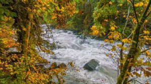 Стихи М.Ю.Лермонтова о Кавказе. #кавказ #лермонтов #стихи #горы #природа #поэзия #терек