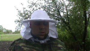 Пчёлы выбрасывают  расплод.(что делать???) 21.05.2017г.