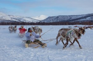 Гонки оленеводов на празднике "Эракор"