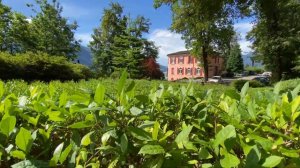 "Monte Verità" (2021) | Ascona Ticino Switzerland - 4K short film by Swiss Hiking Clips