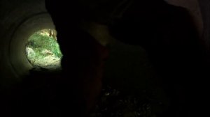 1000 Ways To Die Season 2 Episode 2 | FULL EPISODE