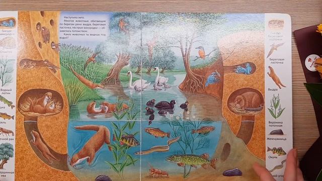 В пруду и у реки. Первые книги малыша. Учим новые слова. Издательство Улыбка. смотреть онлайн