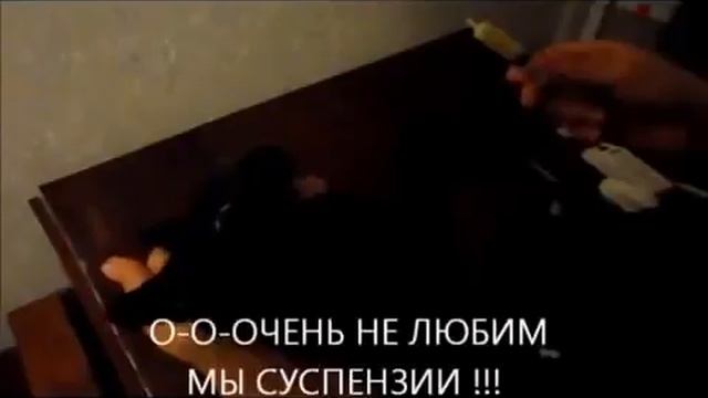 Как дать таблетку коту смотреть онлайн