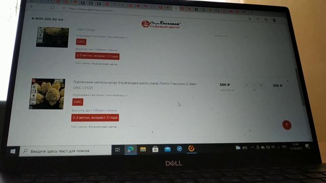 Гортензии из питомника Веры Глуховой ❤️ ОКС, мой осенний заказ ? смотреть онлайн