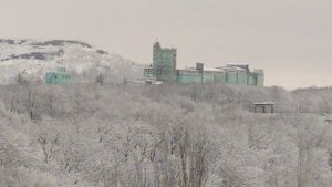 Снежная САТИсфакция