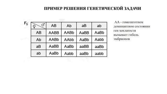 Трудные вопросы генетики в ЕГЭ по биологии