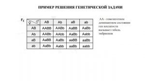 Трудные вопросы генетики в ЕГЭ по биологии