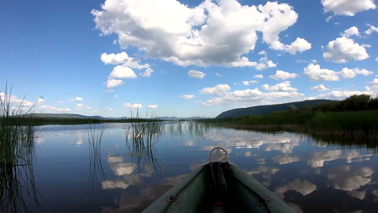 В заливе Лича (река Амур).  20.08.2023