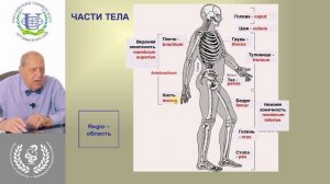 "ВВЕДЕНИЕ В АНАТОМИЮ" с академиком Валентином Ивановичем Козловым