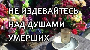 На кладбищах севера России_ Не издевайтесь над душами умерших!