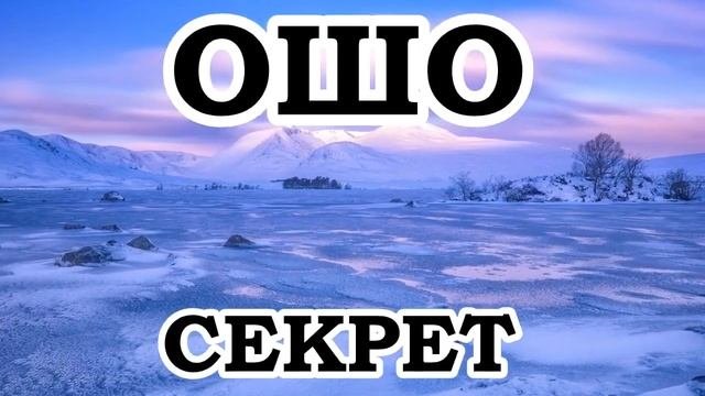 ОШО — 78 Золотая середина