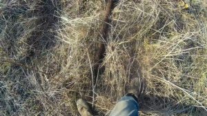 Весенний выезд за металлом на иже!