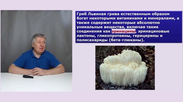 Почему гриб Ежовик гребенчатый не "зайдет"?