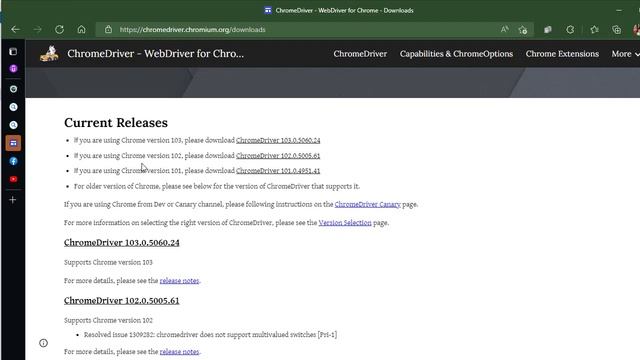 Mengatasi Error saat membuka browser memanfaatkan Selenium via VBA Excel