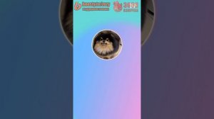 Озвучка Зозя ?LIVE 15.10.2023 ТЭХЕН ВИ НОЧНОЙ ЛАЙВ #bts #taehyung #V ПЕРЕВОД НА РУССКОМ