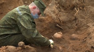 Раскопки массового захоронения времен Великой Отечественной войны