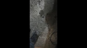 Никогда не разбирай амортизаторы на Камри не посмотрев это! Стук в передней подвеске Тойота Камри 4