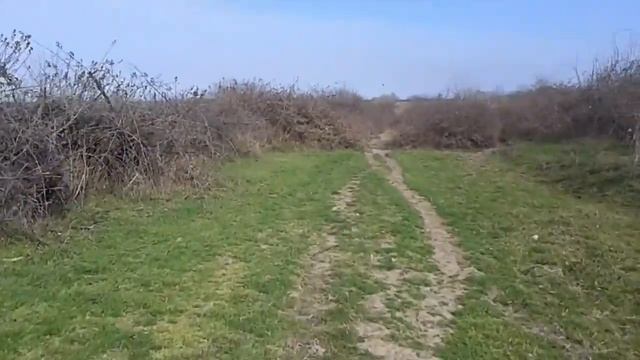 По бескрайним просторам Бутказмаляра смотреть онлайн