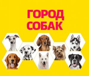 Выставка "Город собак"