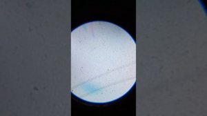 обзор на микроскоп attivio