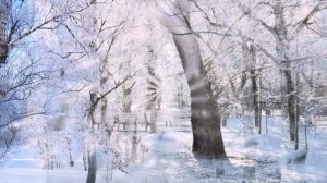 Шафоростов Сергей - Снежинки