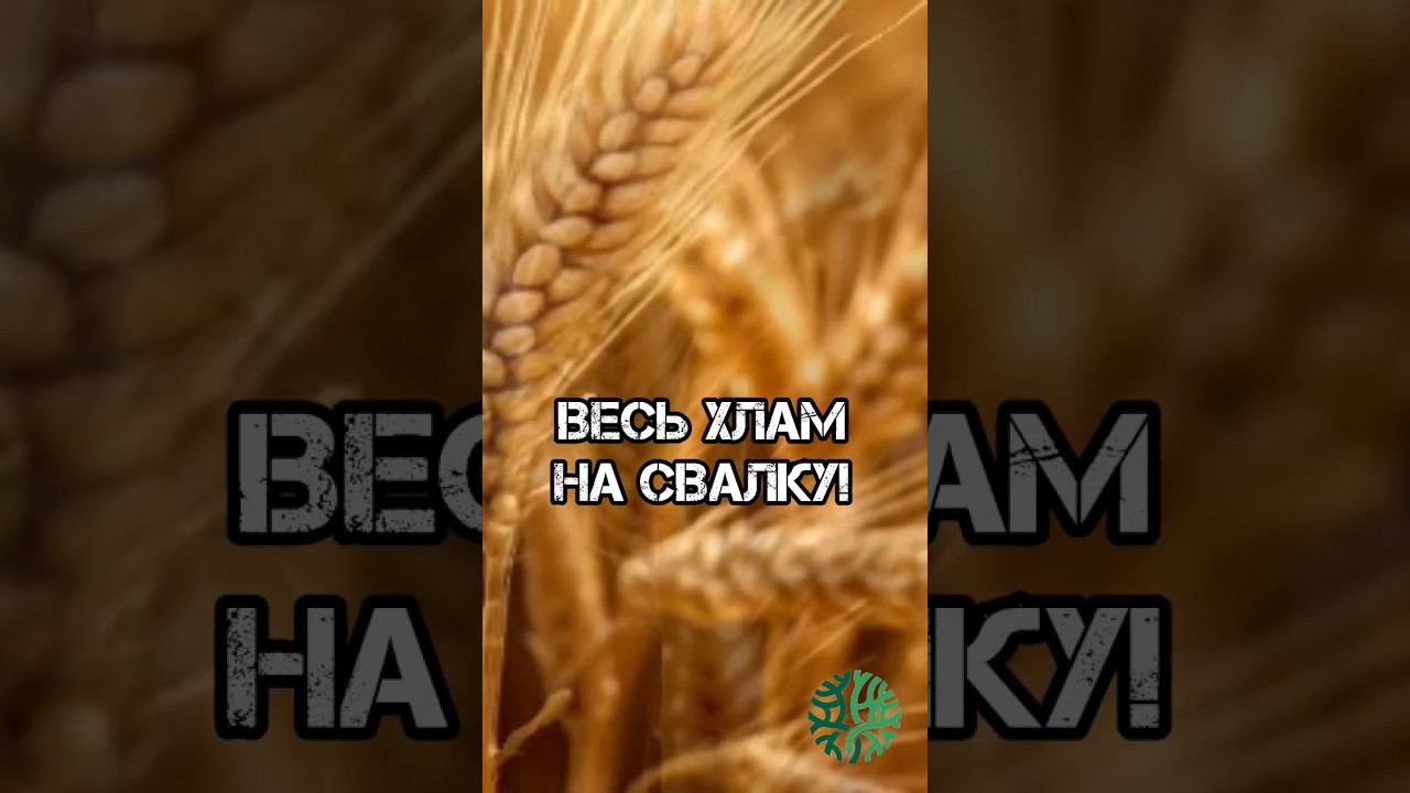 #осень #осеннеенастроение #психологонлайн #психолог #отношения