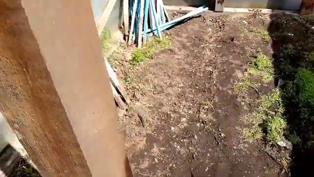 Самодельная теплица, ремонт подручными средствами.