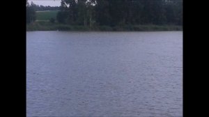 System in Blue Point of no Return Maxi by ingo silber