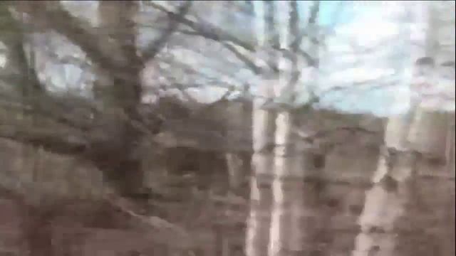 Ностальгическая элегия - стихи М.Палта муз. и исполн. А.Галаганова