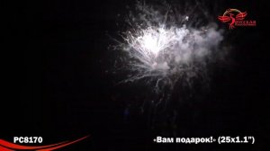 PC8170 Фейерверк Вам подарок! (25 залпов)