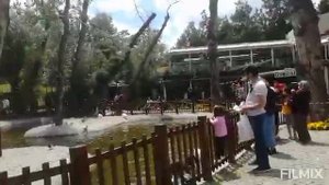 КТО ИЩЕТ ТОТ ВСЕГДА НАЙДЕТ