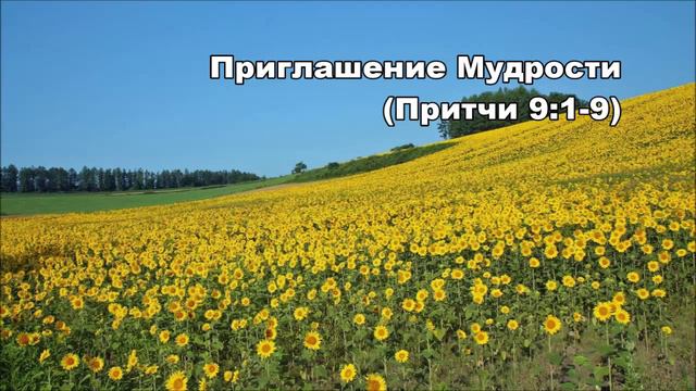 31.08.2015 Путь проницательности (Притчи 9:1-18)