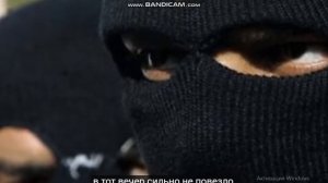 5 случией когда коти спасают людей