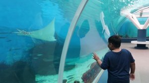 CEBU OCEAN PARK the Biggest Oceanarium in the Philippines | Ledz Pulvera