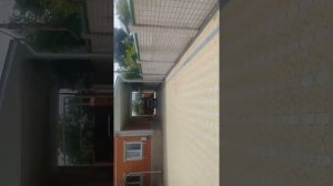 фиолетки ария! 4 динамика! пищалки отключены!