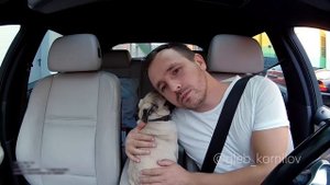 #6 Чубака-разъезжака / Первая прогулка мопса