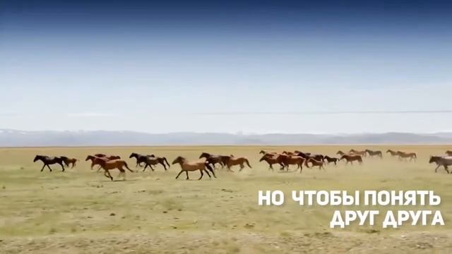 4 ноября - День народного едиснтва смотреть онлайн