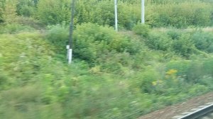 МЦД - 2 Нахабино - Подольск часть 12 Астафьево - Подольск конец