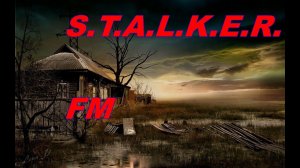 S.T.A.L.K.E.R. F.M # 5. Поле дураков в Баре.