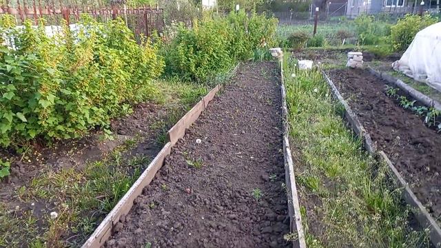 уже вечером на даче!! смотреть онлайн