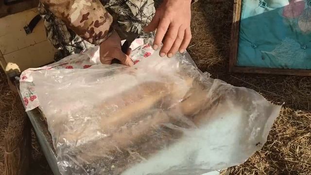 500+ Выставили пчел. Проблемные семьи и резервные матки. смотреть онлайн