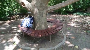 Чудо-павловния в Крыму!