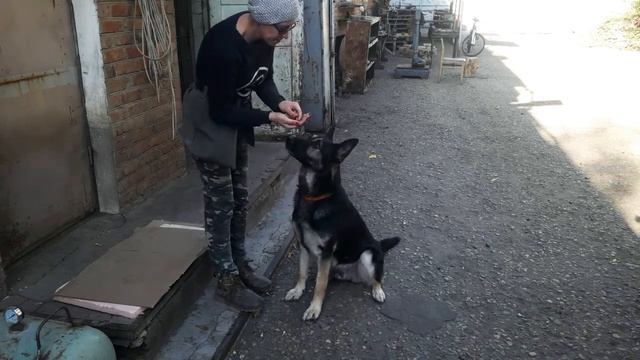 Обратное наведение.9окт. смотреть онлайн