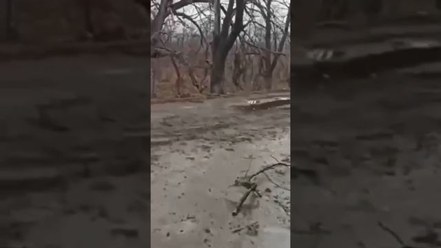 Вознесенск Николаевская обл.