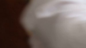 Александр Бродниковский-собрание часов Слава 2 МЧЗ